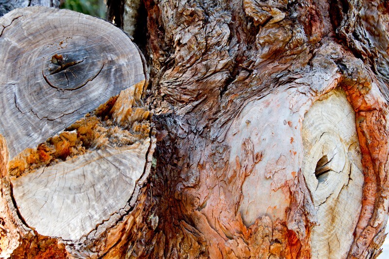 Random  _0051 - Random/Abstract