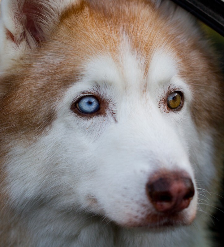 AnimalsCreatures _0076 - Animals, Creatures