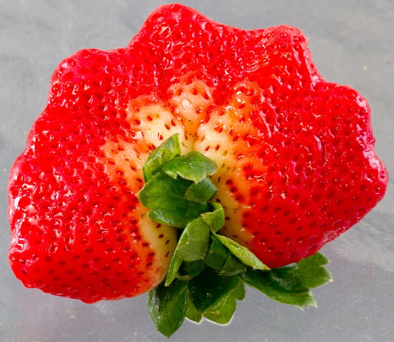 Random  _0006 - Random/Abstract