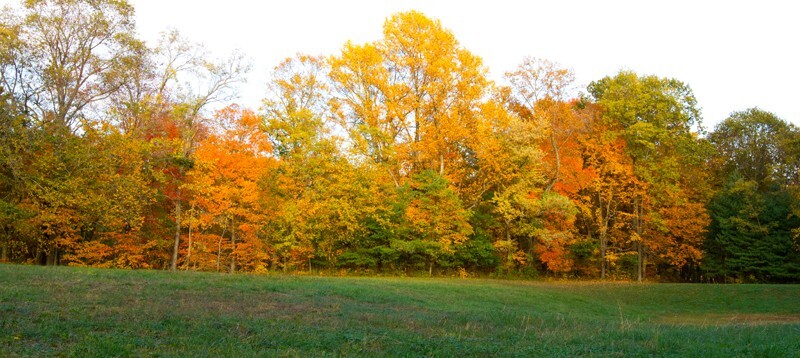 Landscape _0007 - Land and Cityscapes