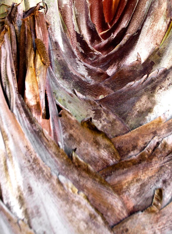 Random  _0044 - Random/Abstract