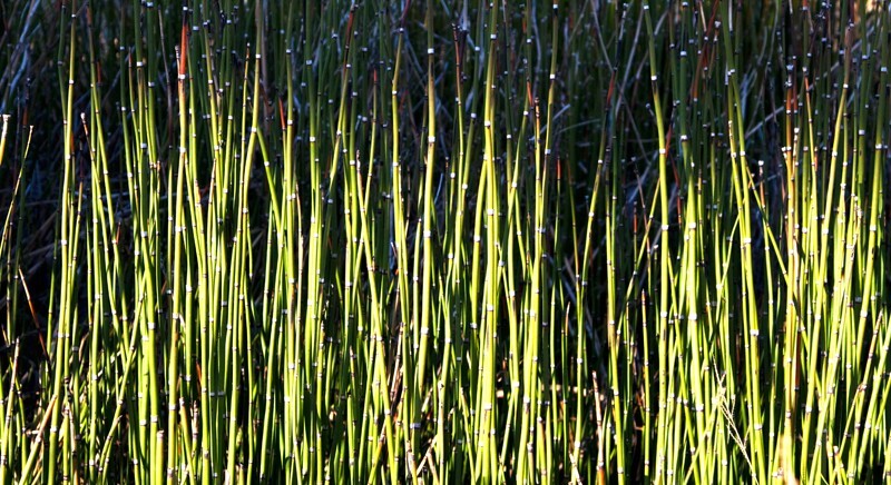 Random  _0027 - Random/Abstract