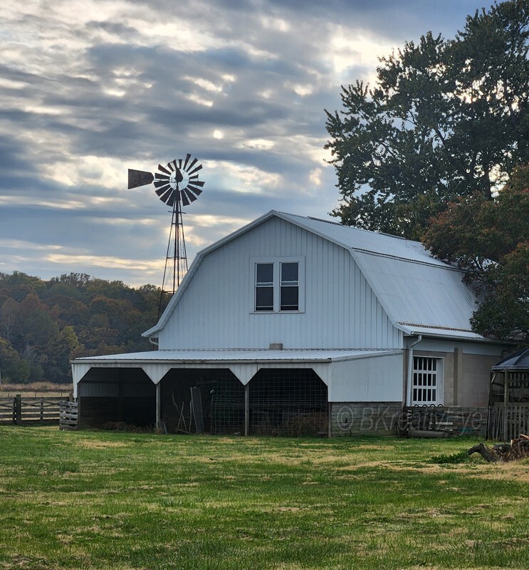 Man Made _0077 - Man Made