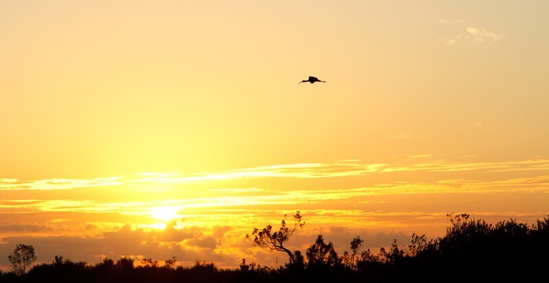 SunBeachWater  _0050 - Sun, Beach, Water