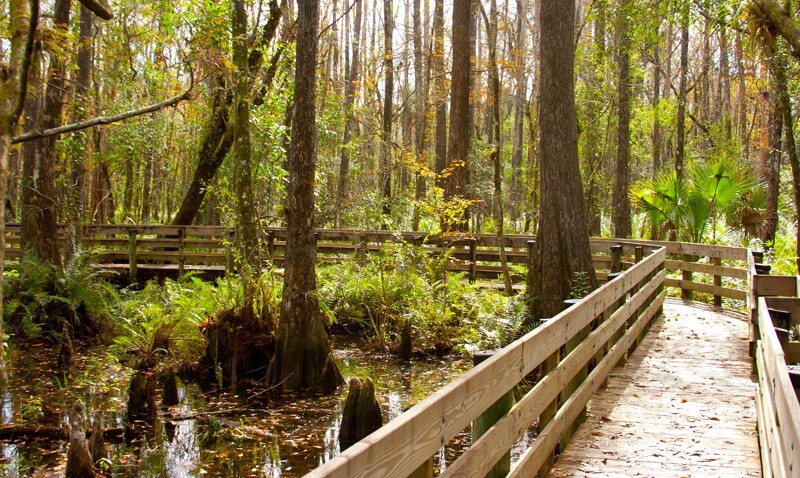 Landscape _0066 - Land and Cityscapes