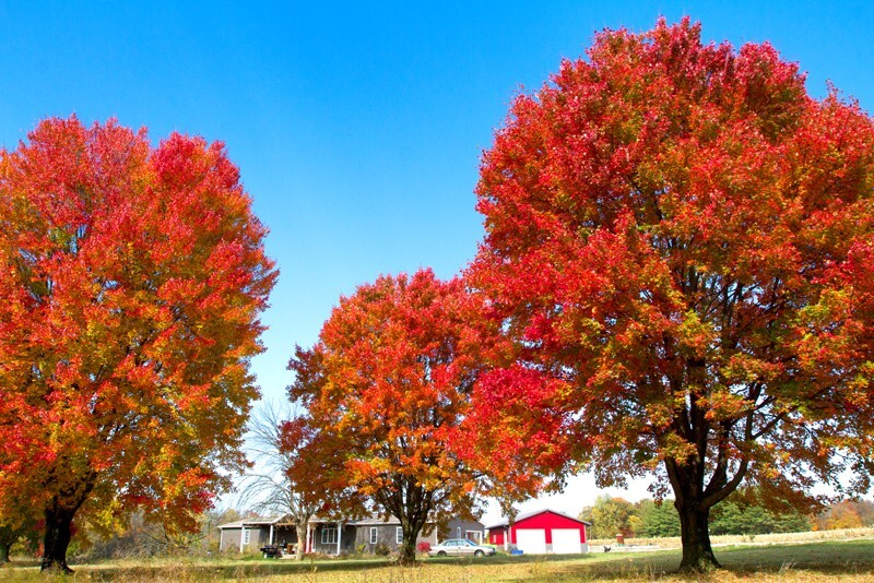 Landscape _0011  - Land and Cityscapes