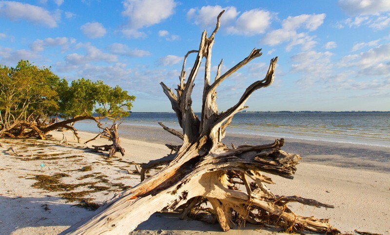 Landscape _0054  - Land and Cityscapes