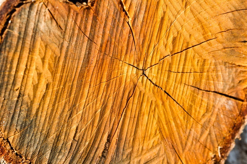 Random  _0049 - Random/Abstract