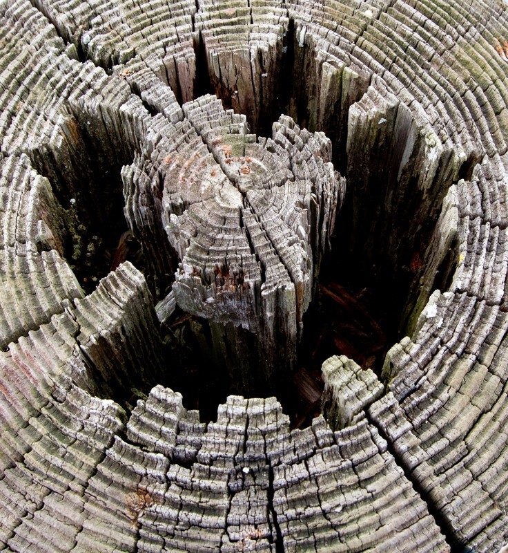 Random  _0050 - Random/Abstract