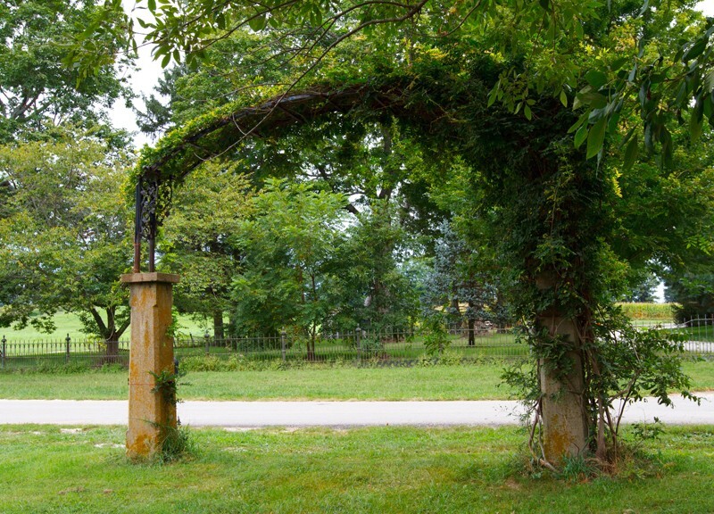 Landscape _0077 - Land and Cityscapes