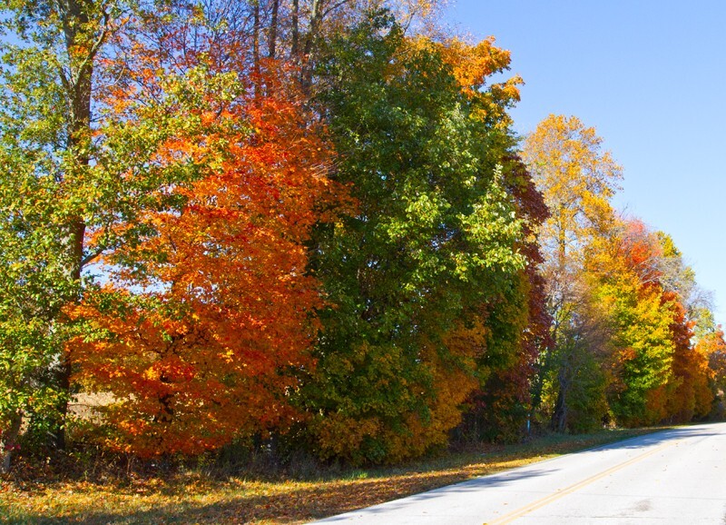 Landscape _0014 - Land and Cityscapes