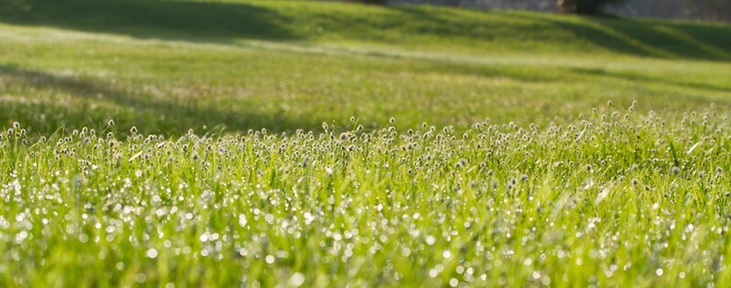 Landscape _0038 - Land and Cityscapes