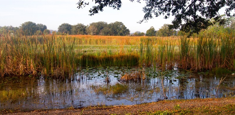 Landscape _0004 - Land and Cityscapes