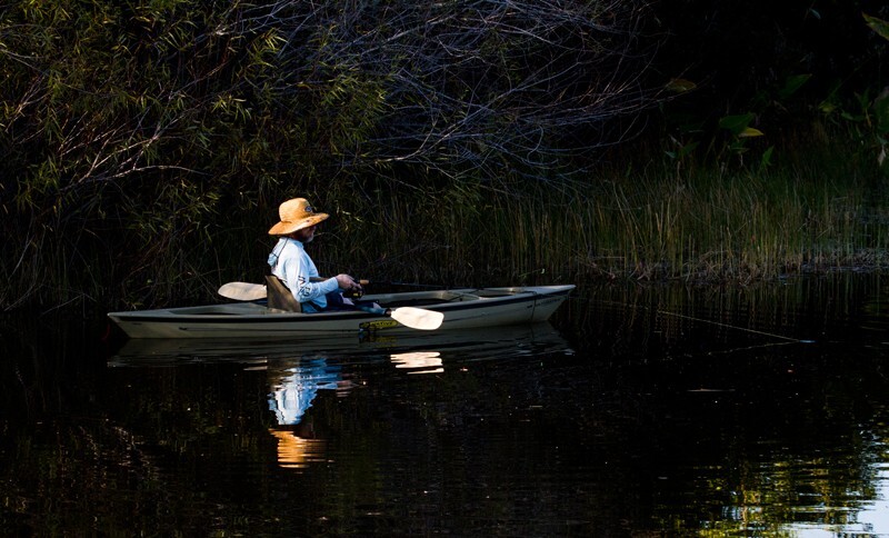 SunBeachWater  _0074 - Sun, Beach, Water