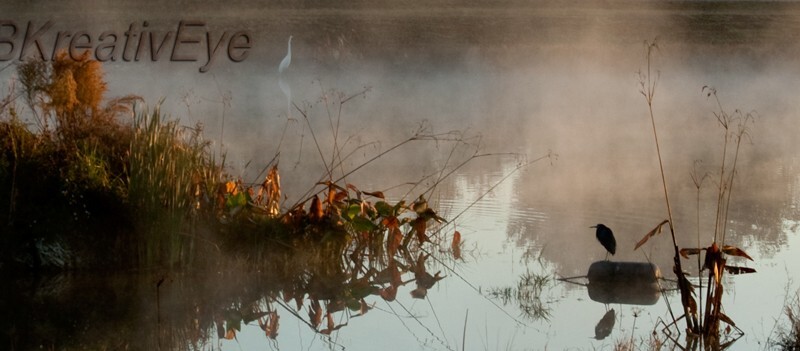 SunBeachWater  _0006 - Sun, Beach, Water