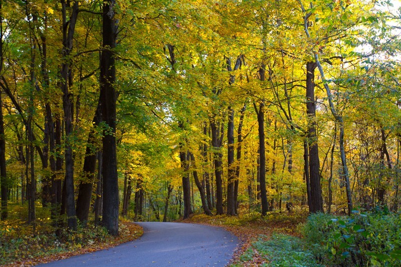 Landscape _0018 - Land and Cityscapes