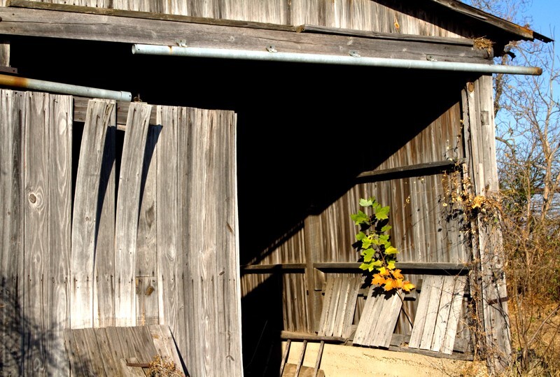 Man Made _0177 - Man Made