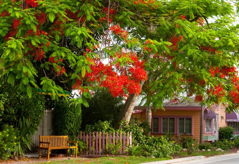 Landscape _0071 - Land and Cityscapes