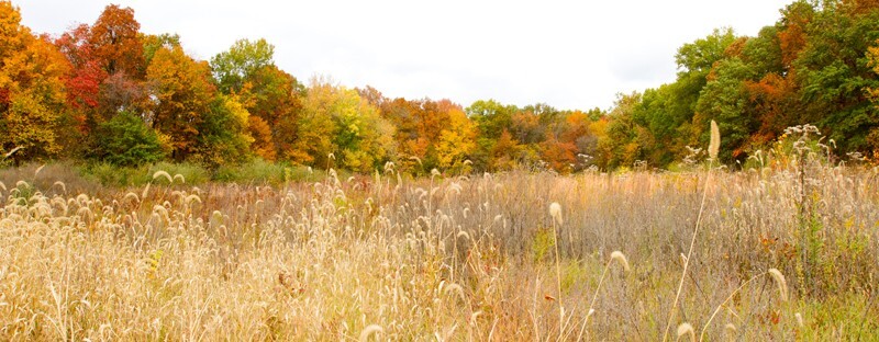 Landscape _0006 - Land and Cityscapes