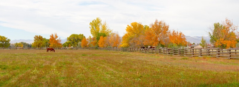 Landscape _0029 - Land and Cityscapes