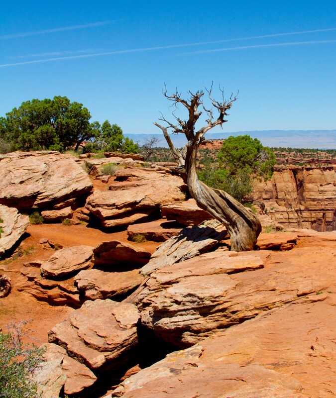 Landscape _0050 - Land and Cityscapes