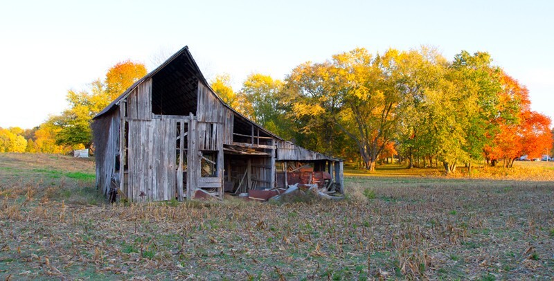 Man Made _0004 - Man Made