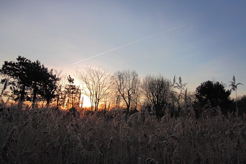  - Contrails