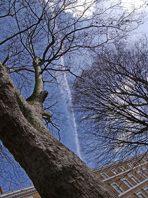  - Contrails