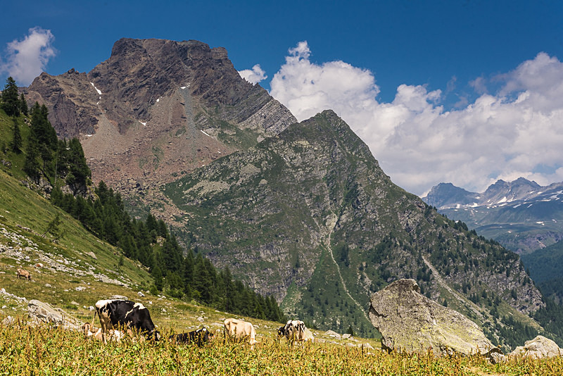 Ossola Vally - Devero area - Mountains