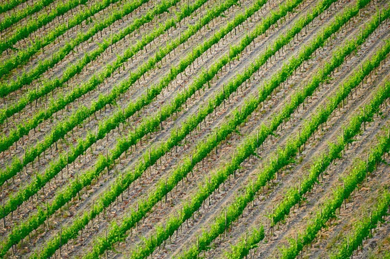 Green patterns - Italy