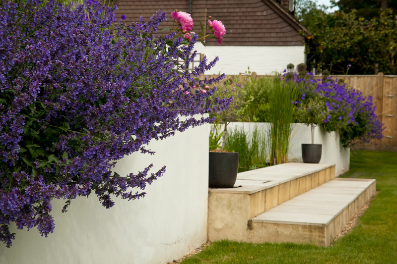  - Garden & Flower Portraits