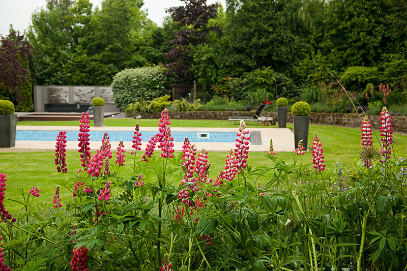 Garden photography by Ross Phillips of Forest Eyes Photography - Garden & Flower Portraits