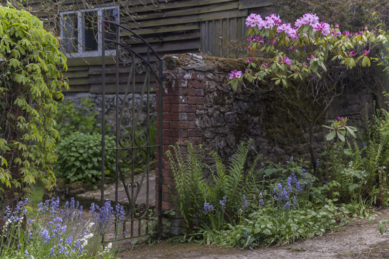 West Broomers - Garden & Flower Portraits