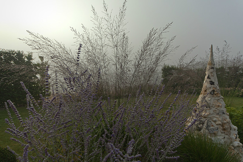  - Garden & Flower Portraits