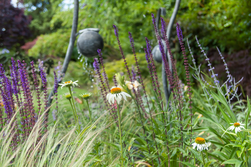  - Garden & Flower Portraits