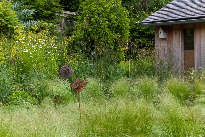  - Garden & Flower Portraits