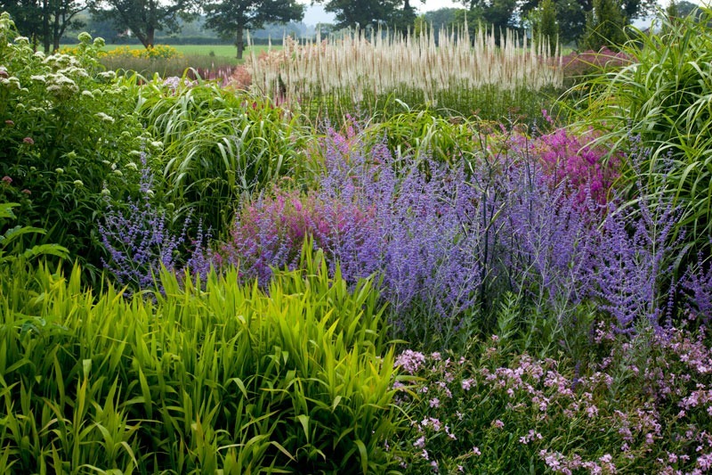  - Garden & Flower Portraits