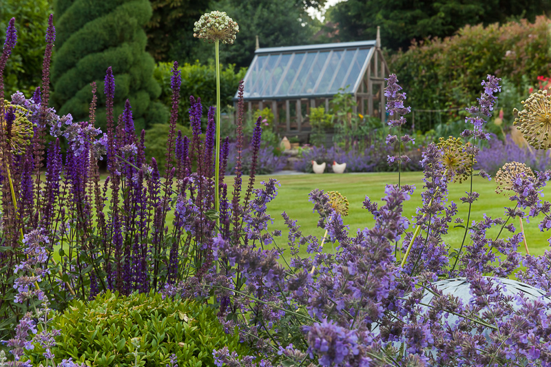  - Garden & Flower Portraits