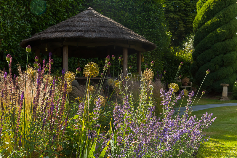  - Garden & Flower Portraits