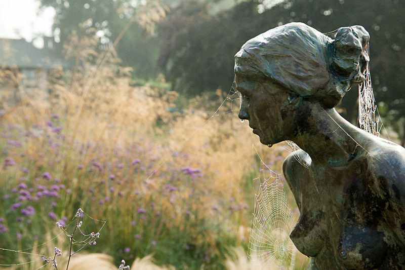 - Garden & Flower Portraits