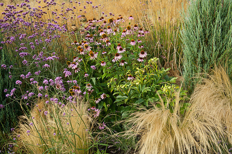  - Garden & Flower Portraits