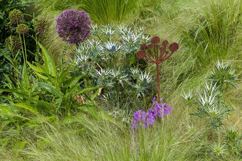  - Garden & Flower Portraits