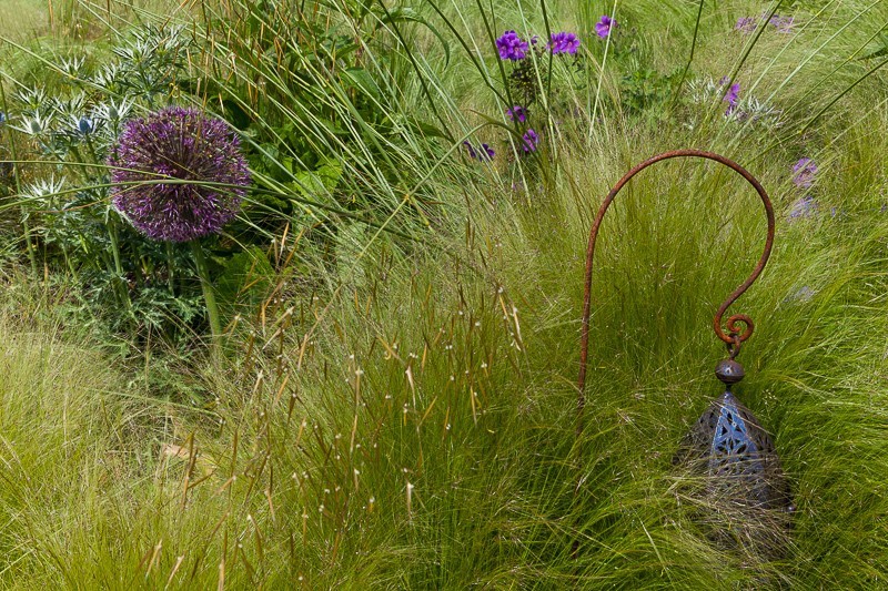  - Garden & Flower Portraits