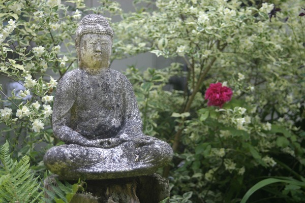 Tranquil Garden - Garden & Flower Portraits