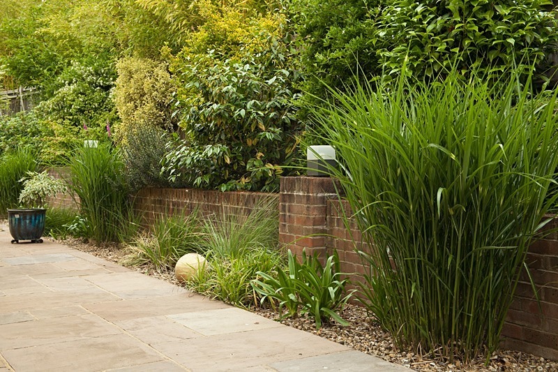 Garden photography by Ross Phillips of Forest Eyes Photography - Garden & Flower Portraits