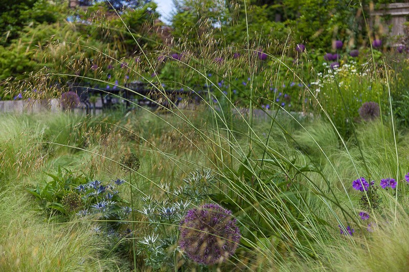  - Garden & Flower Portraits