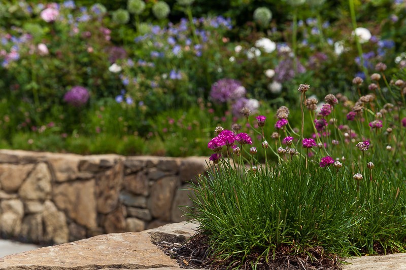  - Garden & Flower Portraits