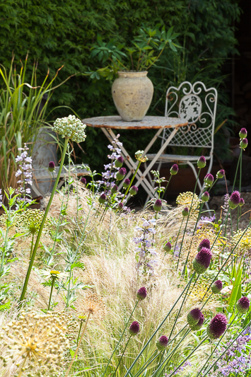  - Garden & Flower Portraits