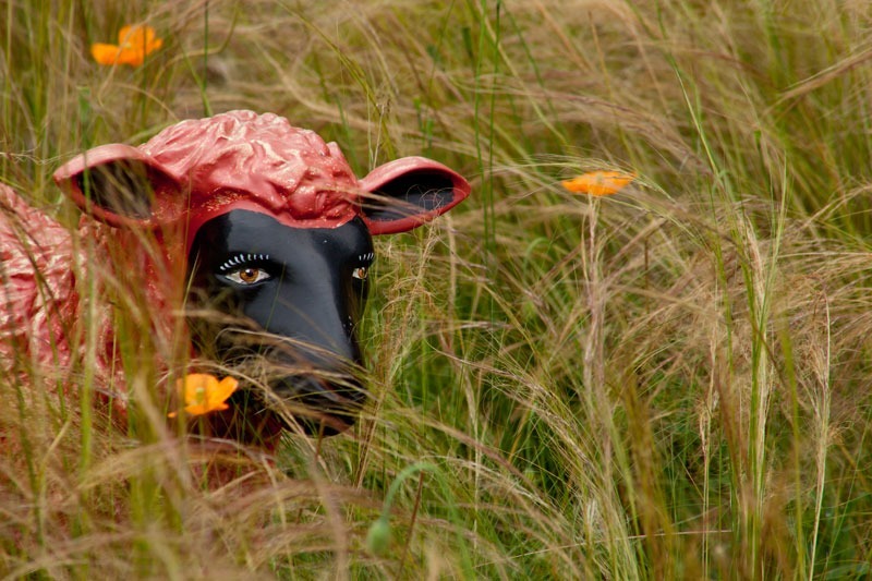  - Garden & Flower Portraits