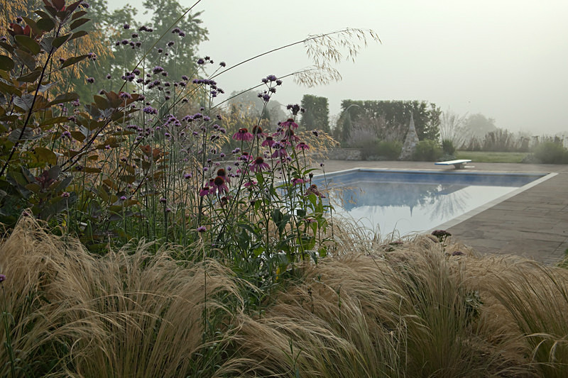  - Garden & Flower Portraits